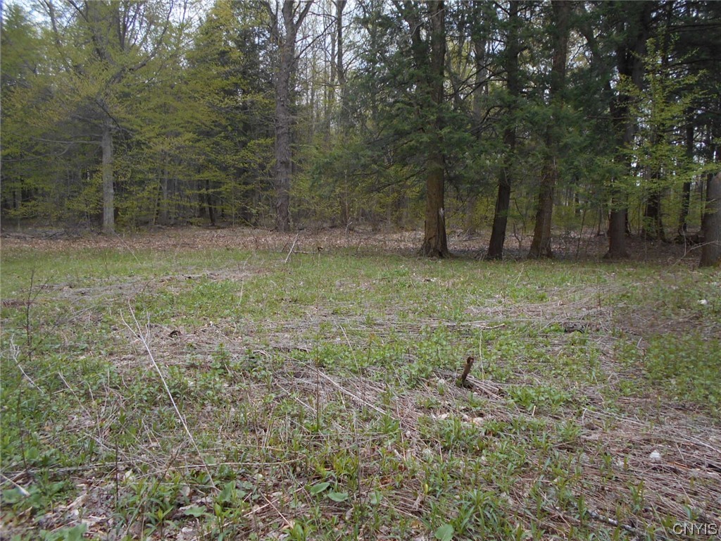 Undisclosed Address Chittenango, NY 13037 - Photo 3 of 11