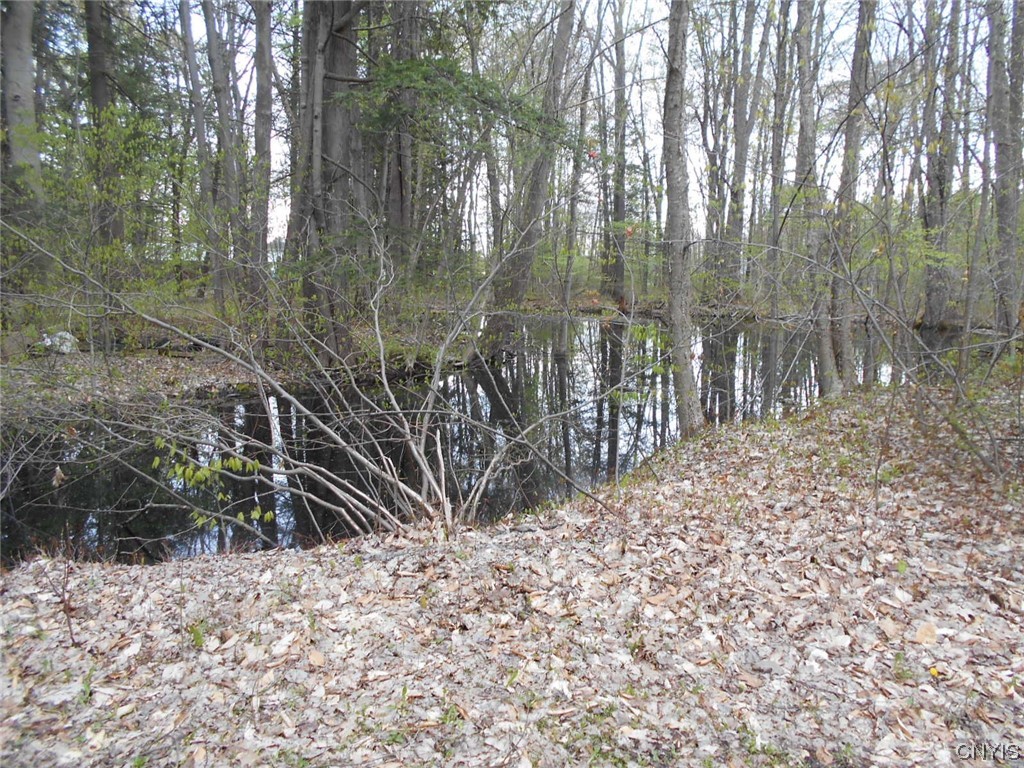 Undisclosed Address Chittenango, NY 13037 - Photo 9 of 11