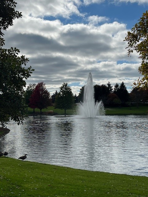 12242 Quail Ridge Drive Huntley, IL 60142 - Photo 9 of 13 a view of lake view