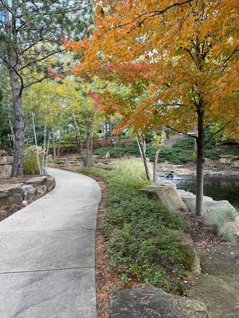 12242 Quail Ridge Drive Huntley, IL 60142 - Photo 10 of 13 a view of a park with large trees