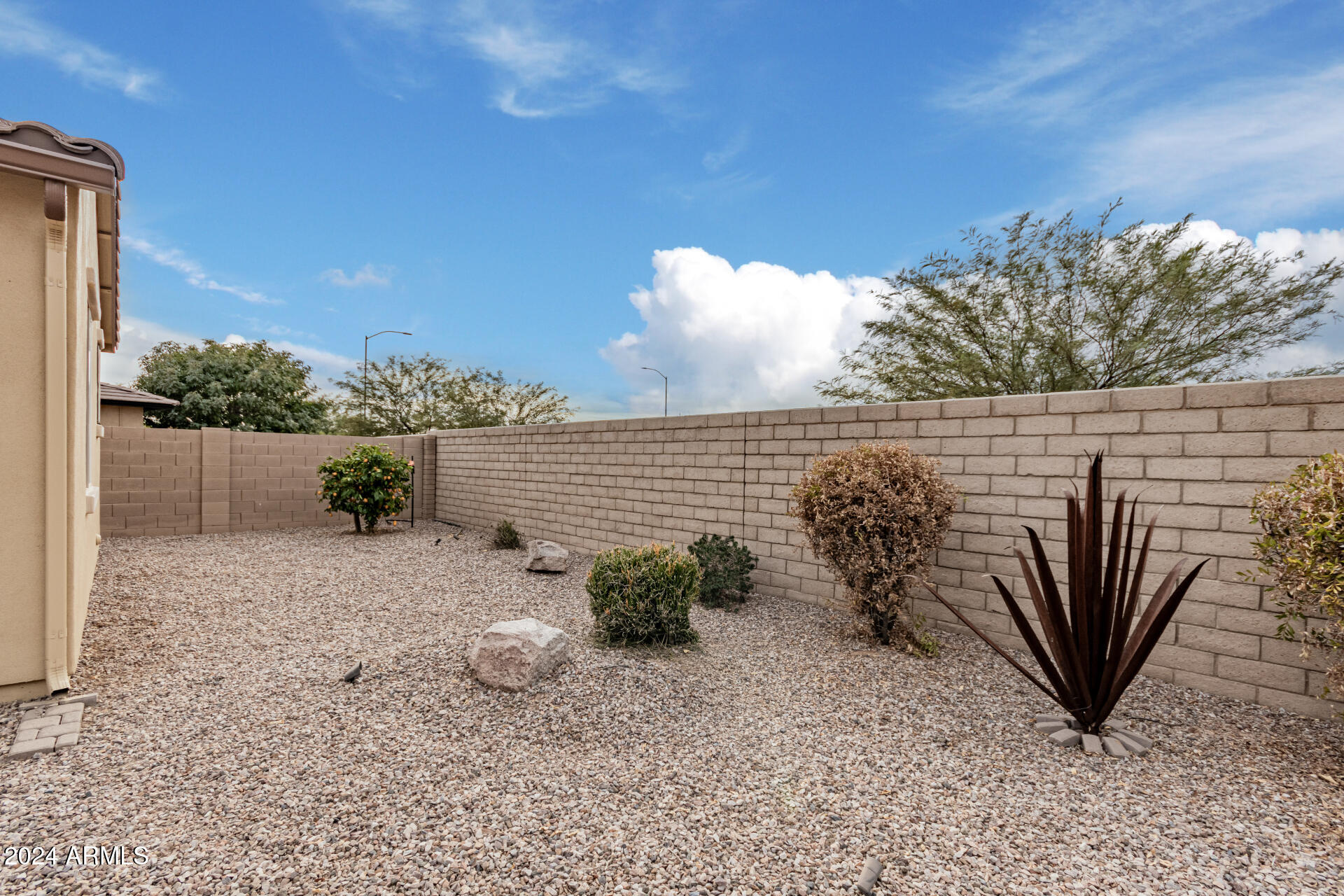 5440 Abbey Mesa, AZ 85212 - Photo 48 of 62 48 Backyard