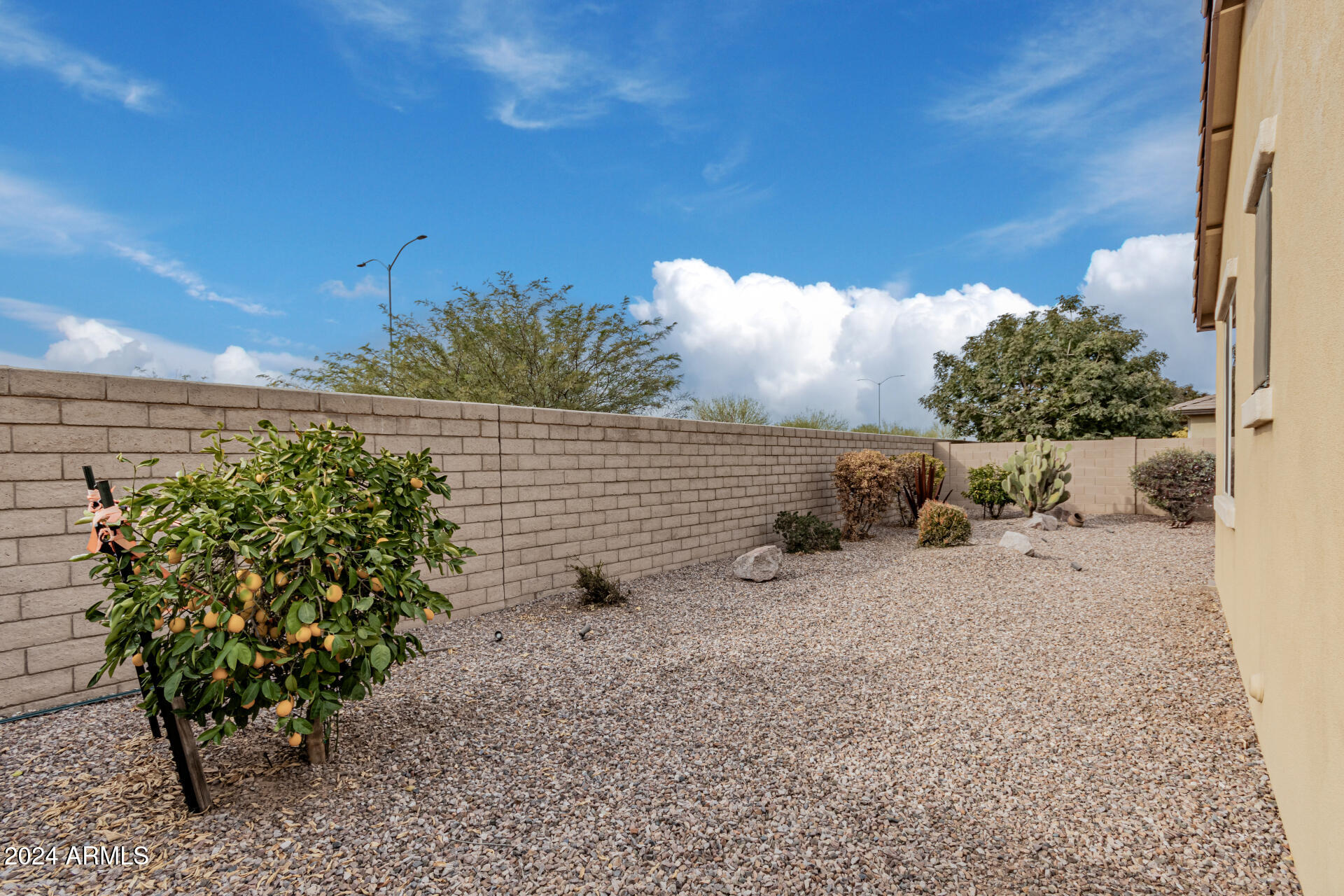 5440 Abbey Mesa, AZ 85212 - Photo 49 of 62 49 Backyard