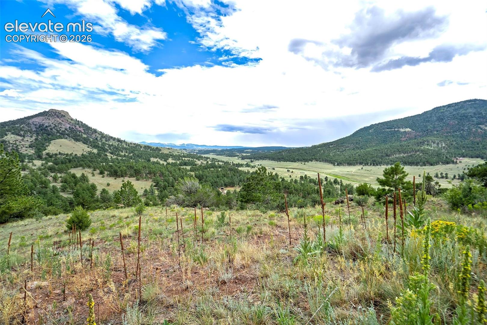 349 Post Road Guffey, CO 80820 - Photo 40 of 50 Gallery Image 40