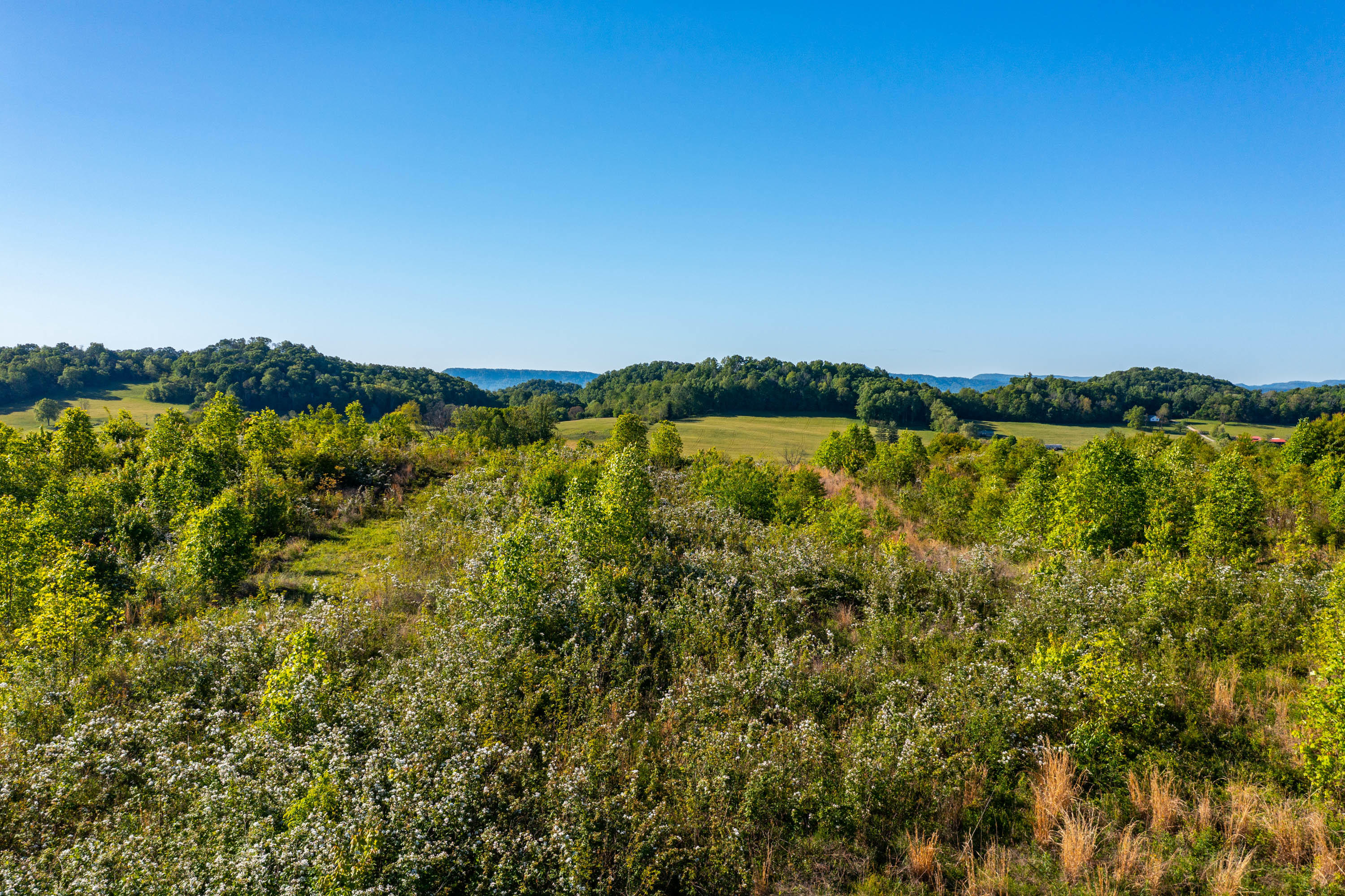 0 Carters Valley Road Church Hill, TN 37645 - Photo 1 of 14 Carters Valley Rd-11