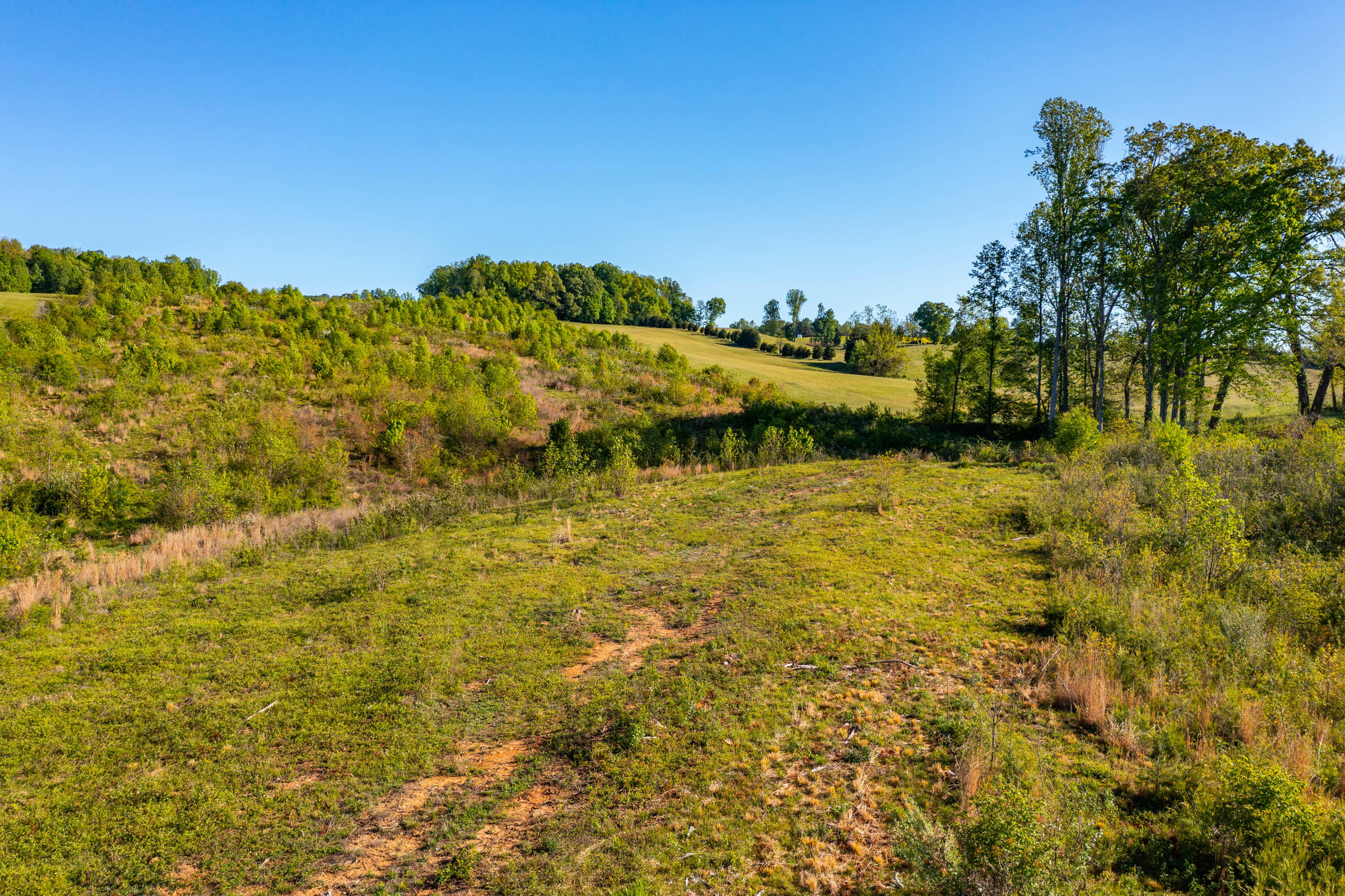 0 Carters Valley Road Church Hill, TN 37645 - Photo 4 of 14 Carters Valley Rd-6