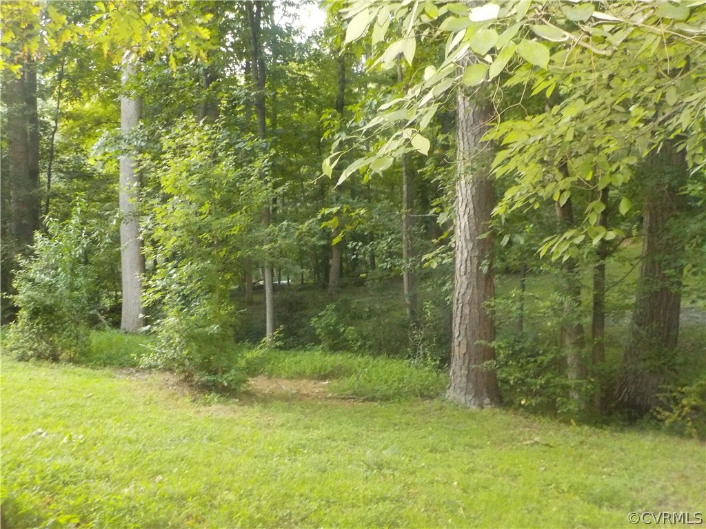 10332 Spring Run Road Chesterfield, VA 23832 - Photo 4 of 18 a view of a forest