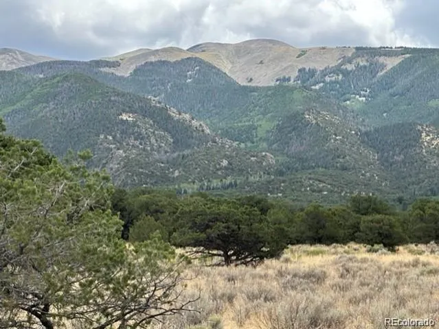 a view of a dry yard