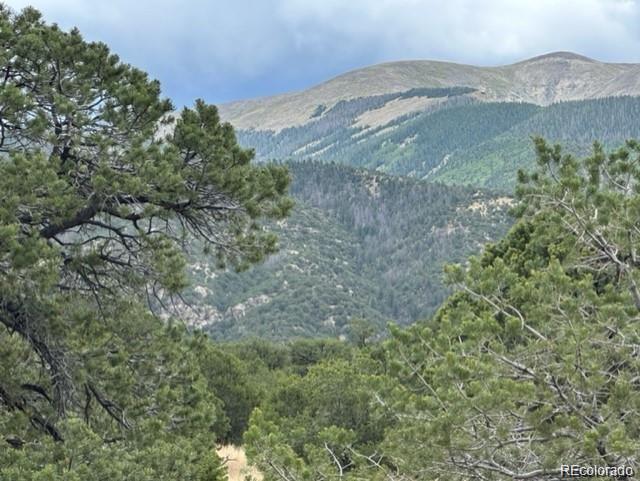 110 Indian Hill Road Mosca, CO 81146 - Photo 6 of 7 a view of a field with a tree in the background