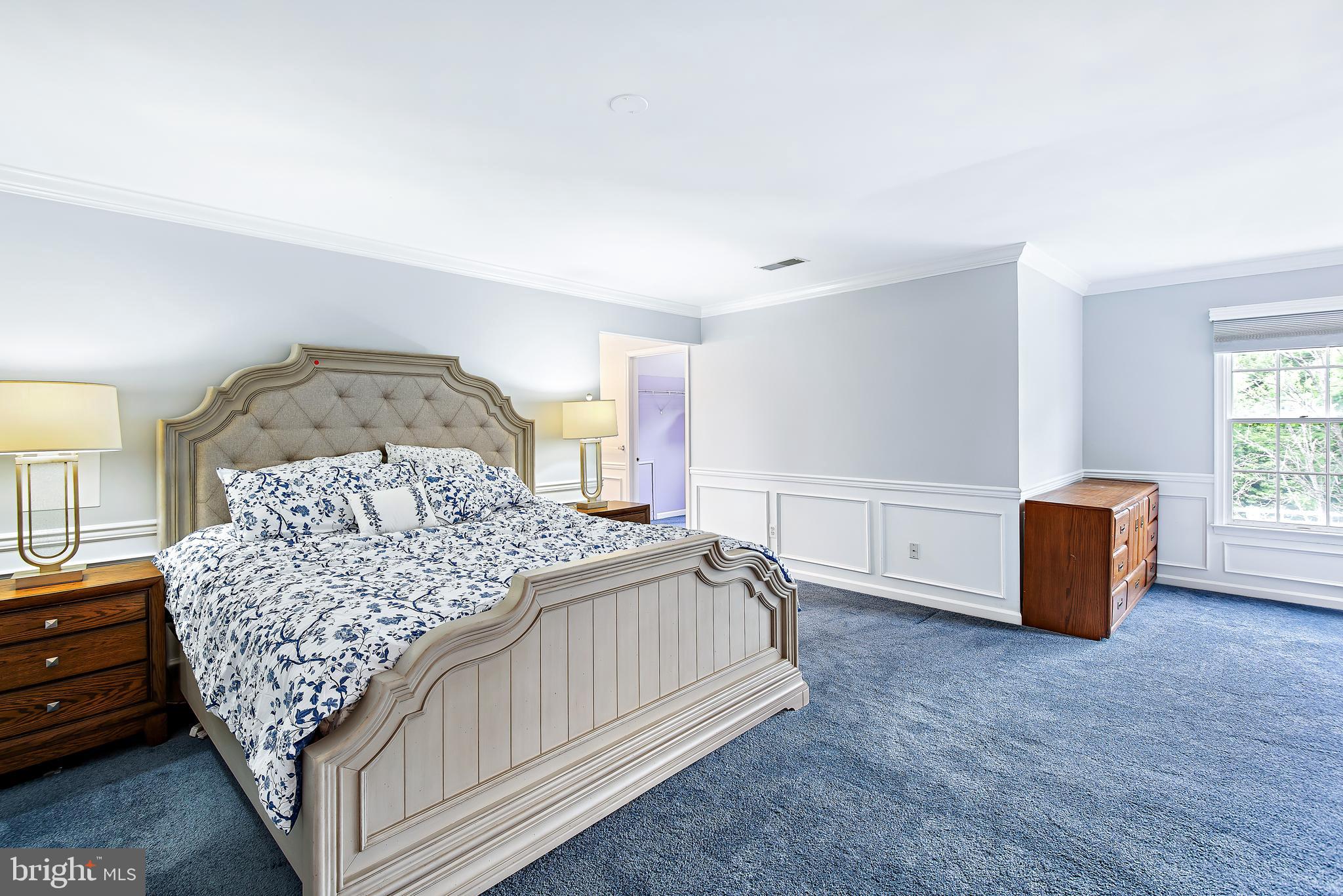 22202 Overview Lane Boyds, MD 20841 - Photo 17 of 43 Primary Bedroom