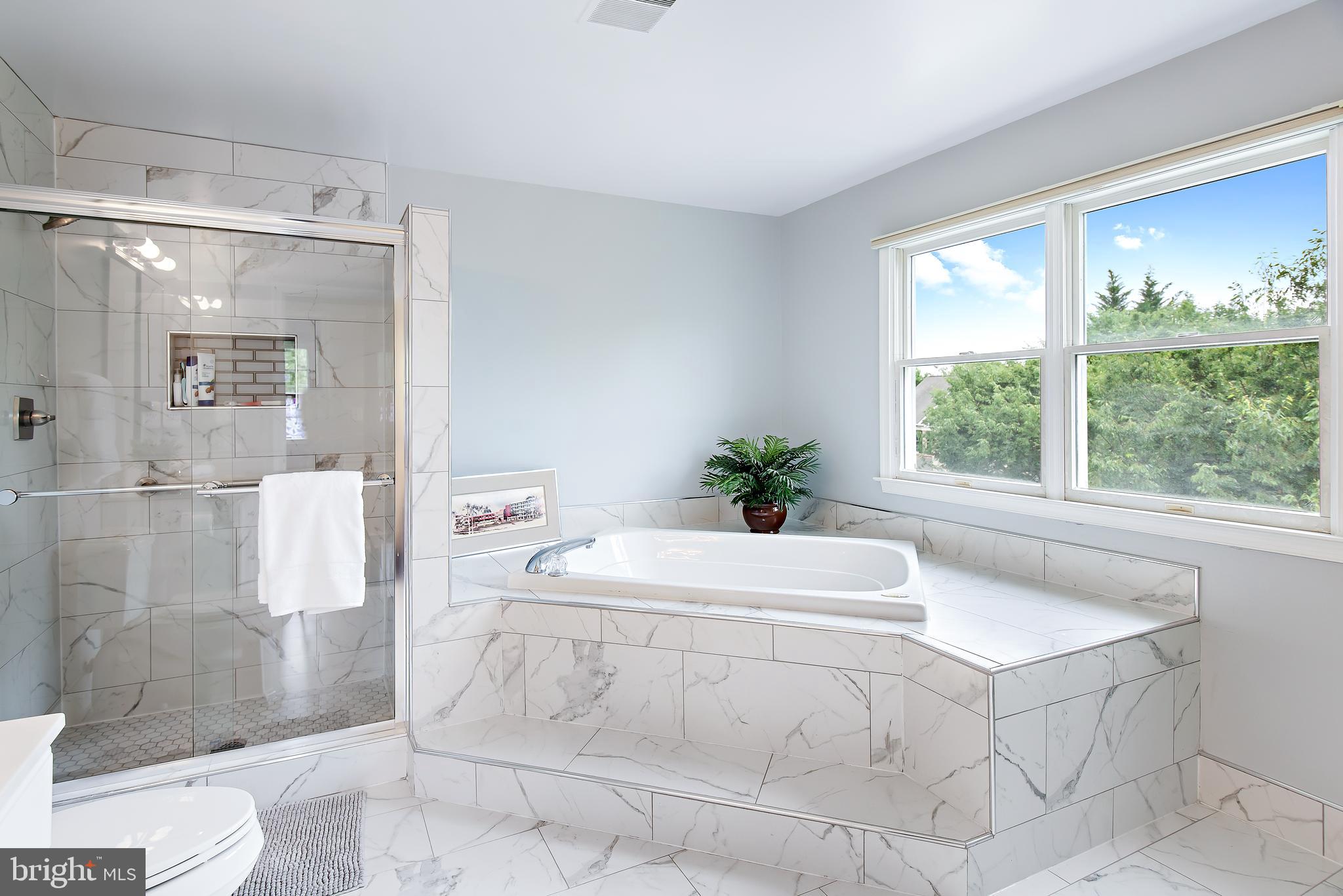 22202 Overview Lane Boyds, MD 20841 - Photo 20 of 43 En-Suite with Soaking Tub