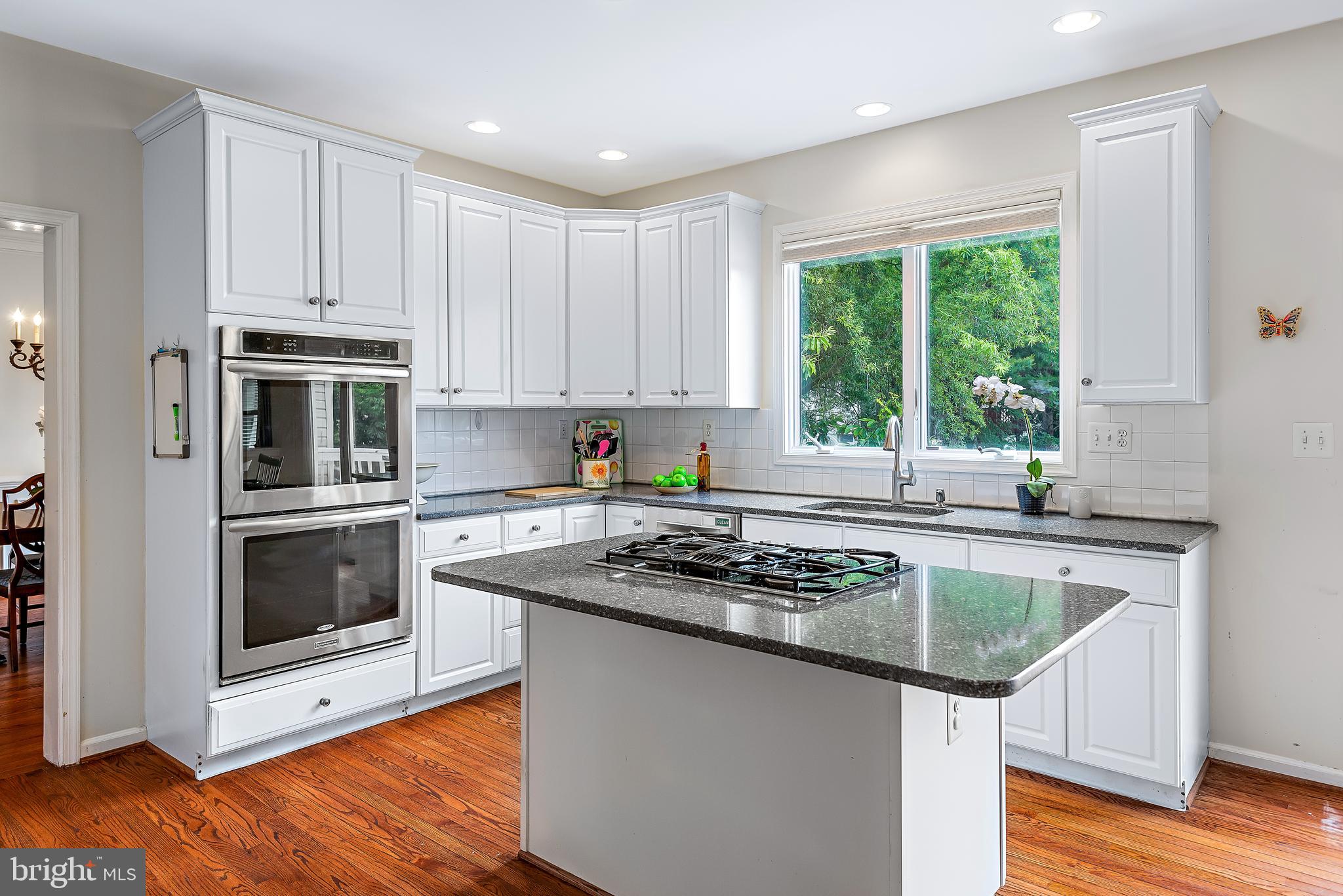 22202 Overview Lane Boyds, MD 20841 - Photo 8 of 43 Gourmet Kitchen