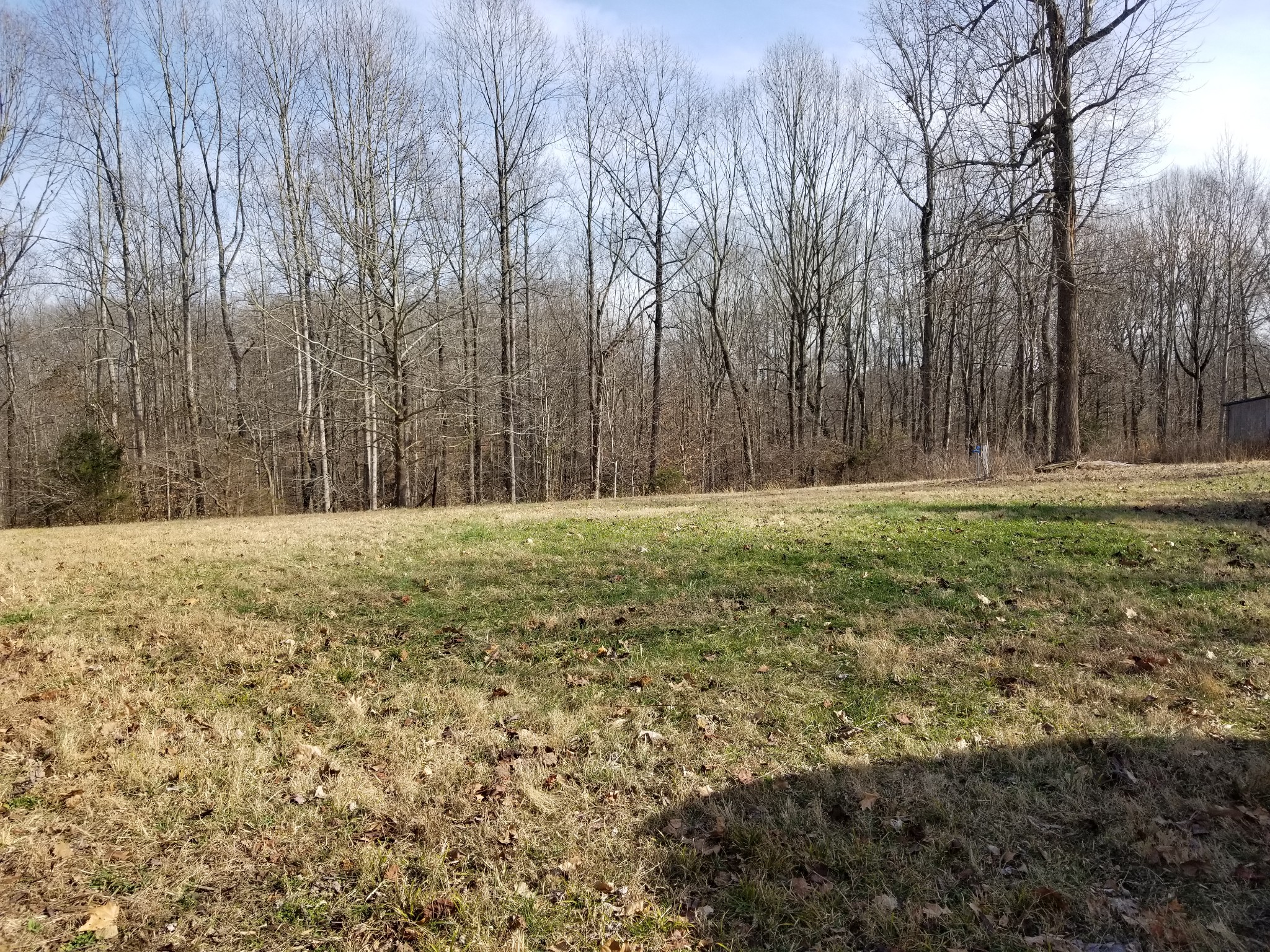 1347 Walden Ridge Road Manchester, TN 37355 - Photo 8 of 8 a view of outdoor space with trees all around