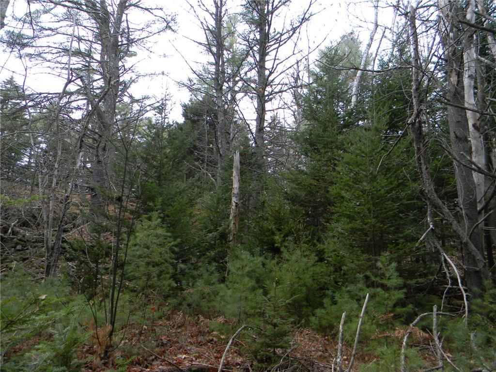 0 Junction Road Westport Island, ME 04578 - Photo 14 of 18 Photo