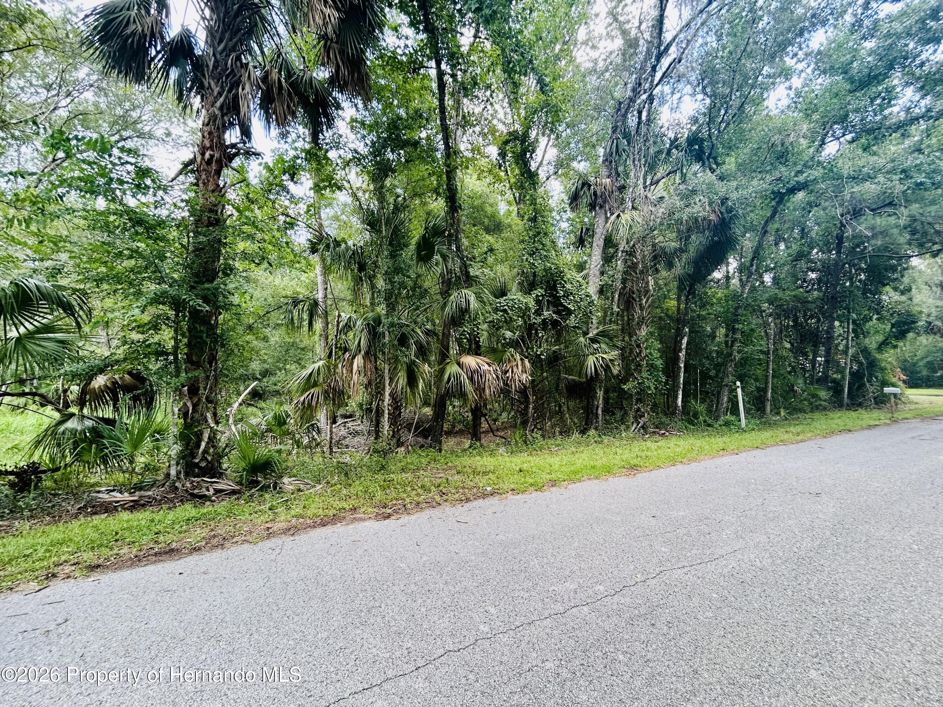0 Campground Road Brooksville, FL 34601 - Photo 6 of 6 Gallery Image 6