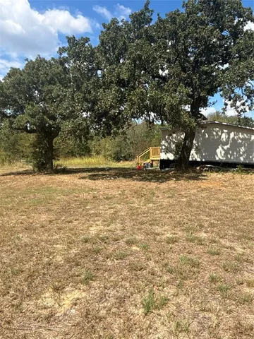 a view of a yard with a tree