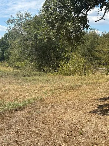 a view of a small yard