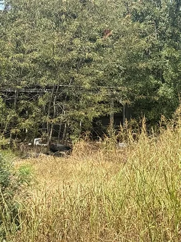 a view of a yard with an outdoor space