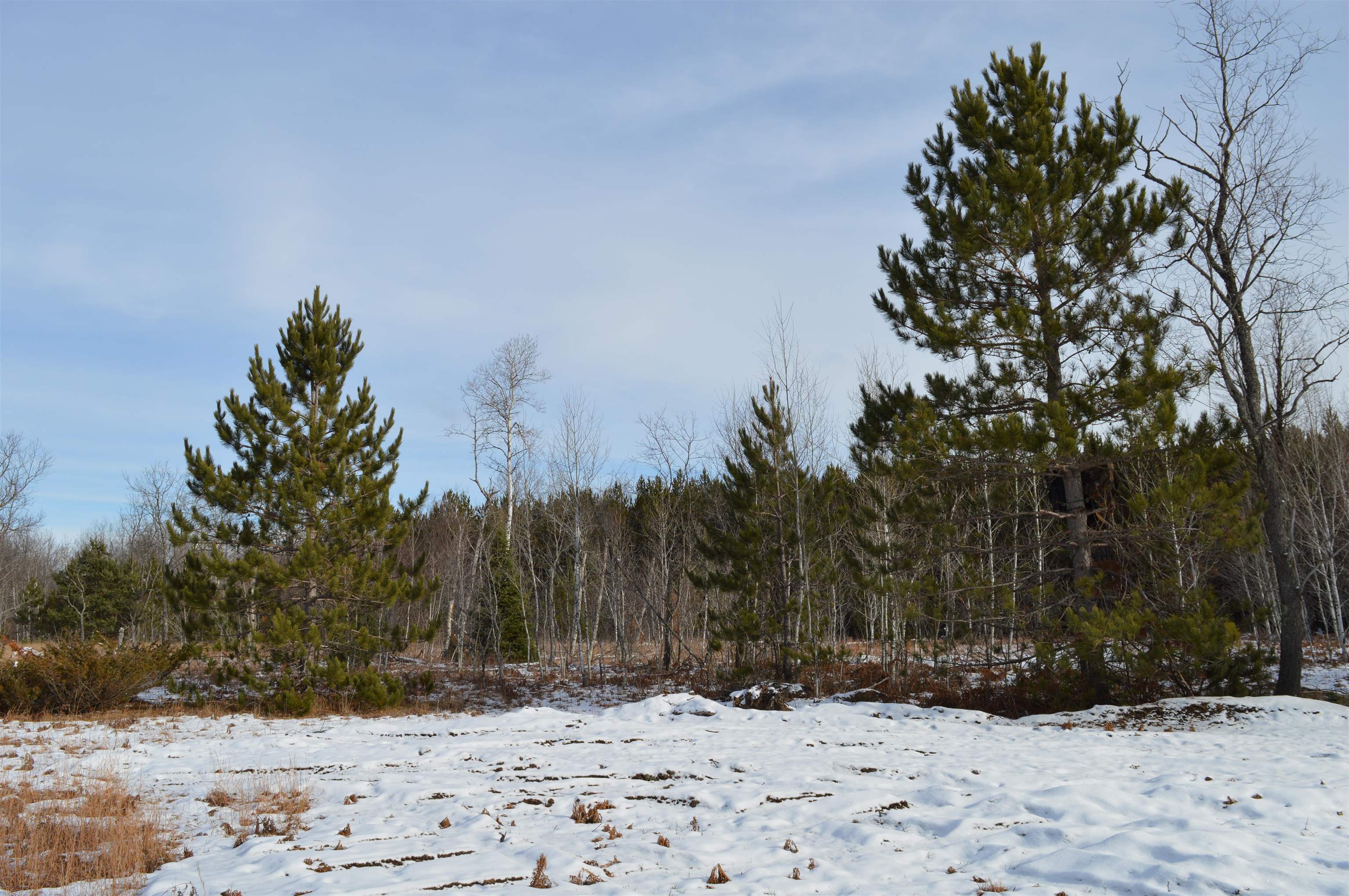Off Wood Road Northeast Kalkaska, MI 49646 - Photo 16 of 22