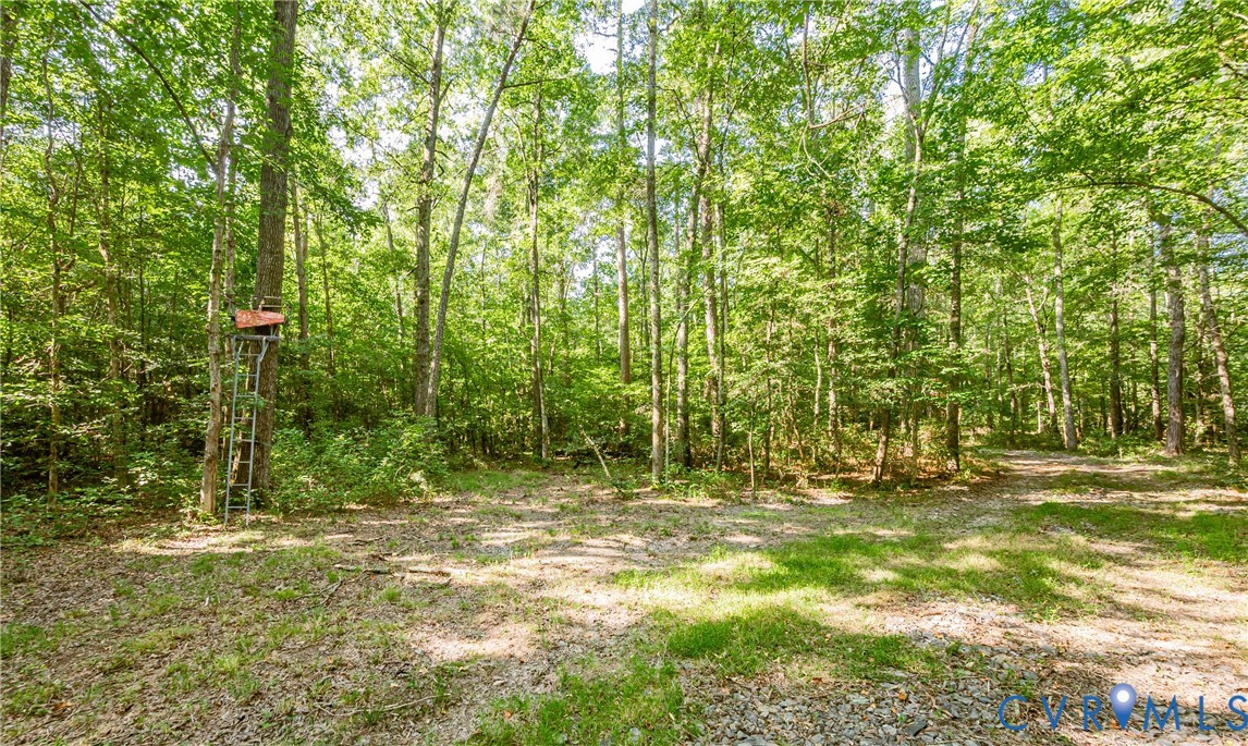 0 Barnetts Road Providence Forge, VA 23140 - Photo 21 of 37 Gallery Image 21