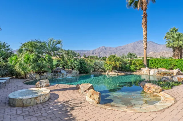 a view of a garden with plants and palm trees