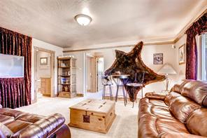 38 Adventure Road Alma, CO 80420 - Photo 14 of 25 Gallery Image 14