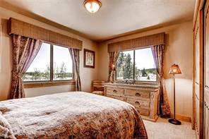 38 Adventure Road Alma, CO 80420 - Photo 15 of 25 Gallery Image 15