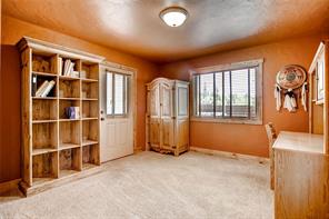 38 Adventure Road Alma, CO 80420 - Photo 17 of 25 Gallery Image 17