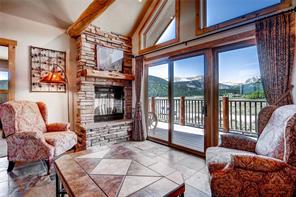 38 Adventure Road Alma, CO 80420 - Photo 3 of 25 Gallery Image 3