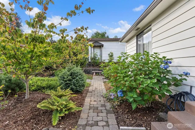 a view of a pathway with plants