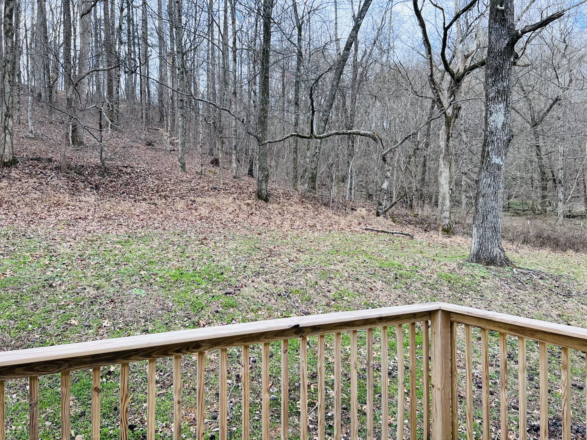 780 Bunker Hill Road Pulaski, TN 38478 - Photo 3 of 26