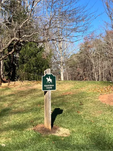a view of a street with large trees