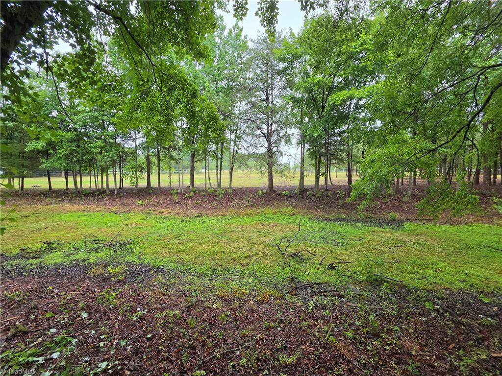 4584 Burch Bridge Road Burlington, NC 27217 - Photo 8 of 17 Gallery Image 8