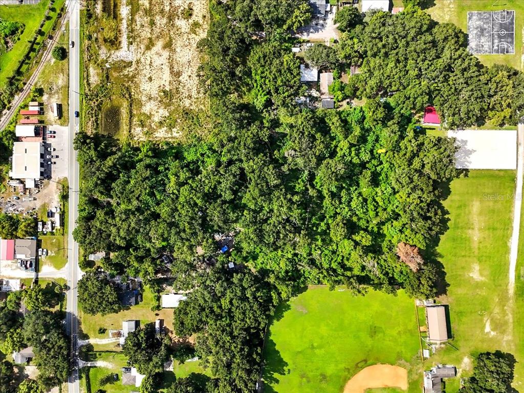 Fish Hatchery Road Lakeland, FL 33801 - Photo 16 of 16 a view of a tree in a garden