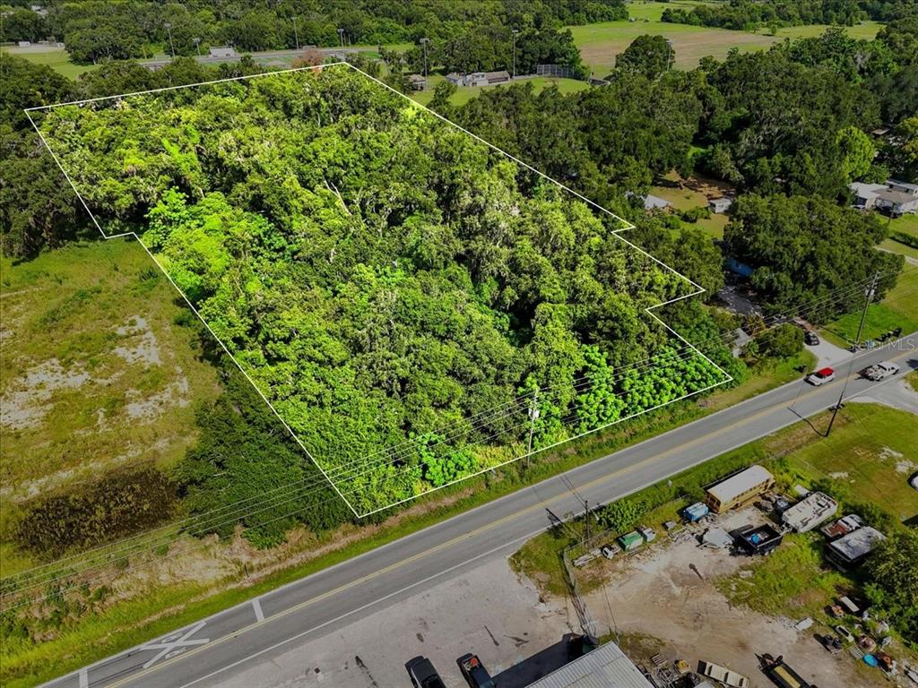Fish Hatchery Road Lakeland, FL 33801 - Photo 2 of 16 a view of a garden with a bench
