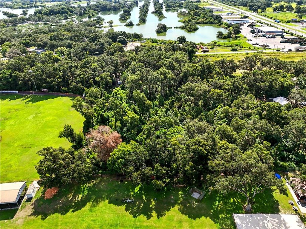 Fish Hatchery Road Lakeland, FL 33801 - Photo 10 of 16 a view of a garden with plants