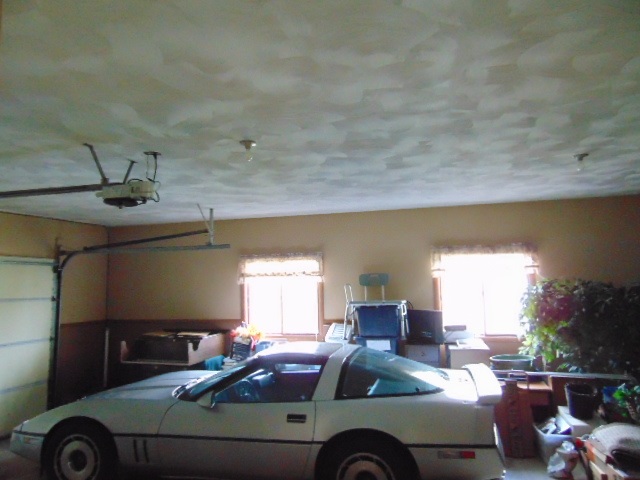 117 Surrey Road St. Louis, MI 48880 - Photo 31 of 37 1869303-30.JPG