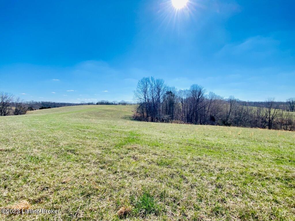 1945 Long Run Road Springfield, KY 40069 - Photo 26 of 81 IMG_2479