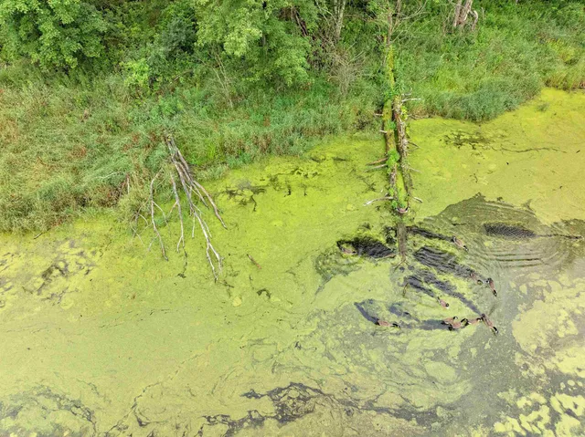 $439,900 | 6974 Woodland Lane, Amherst, WI 54406