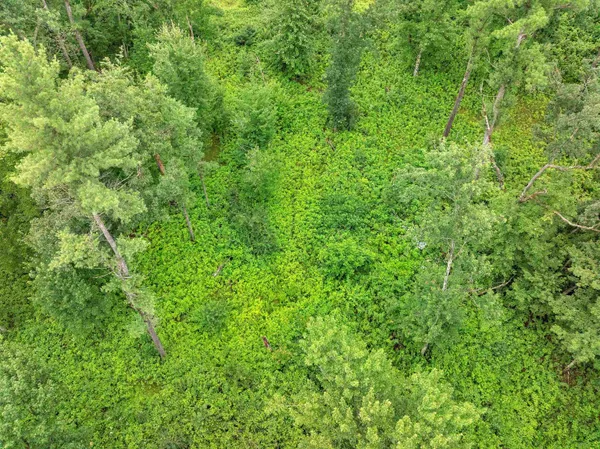 $439,900 | 6974 Woodland Lane, Amherst, WI 54406