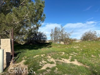 0 Vac/ave R Drt / Vic 122nd Littlerock, CA 93543 - Photo 2 of 11 a view of backyard with green space
