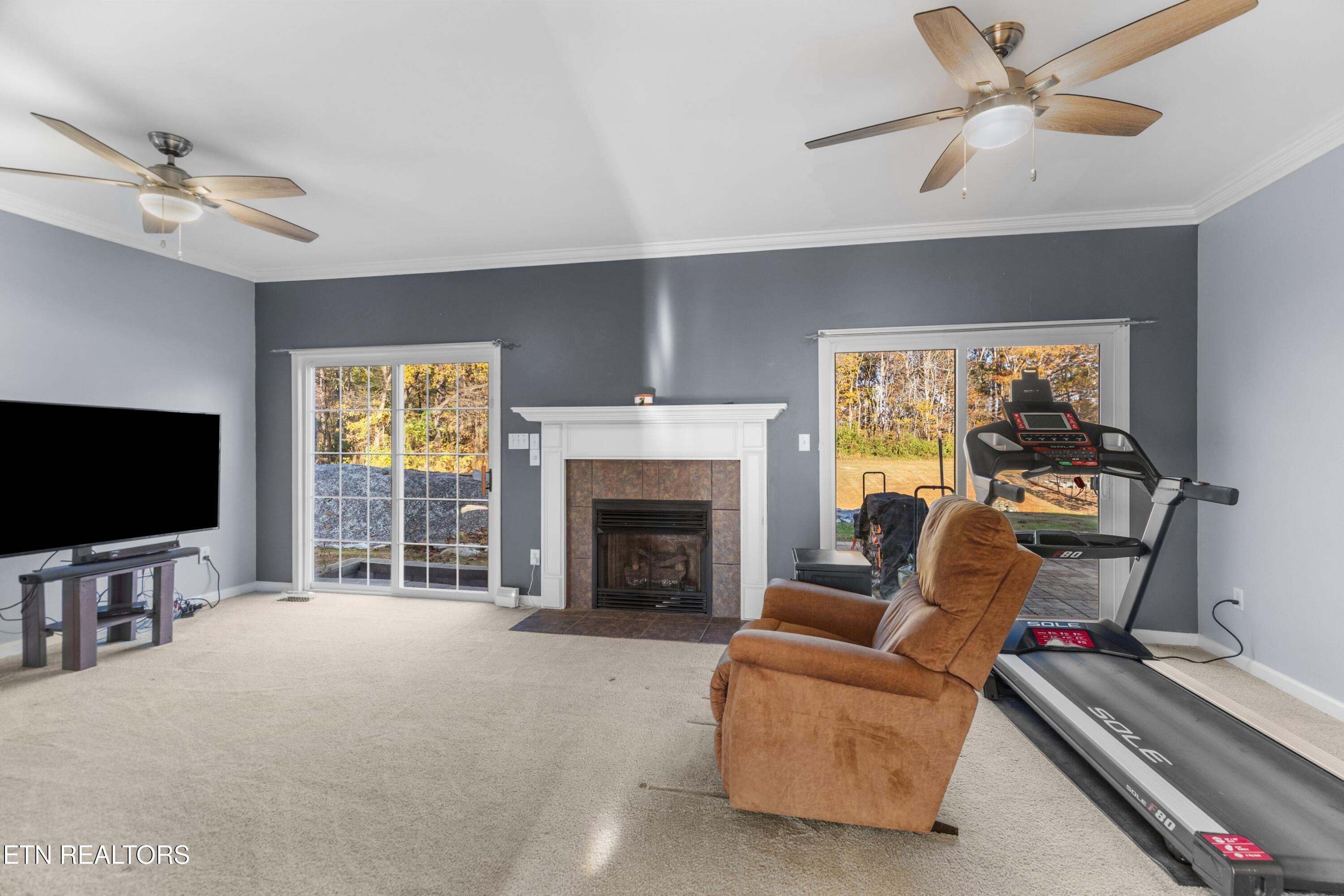 6415 Old Snapps Ferry Road Limestone, TN 37681 - Photo 8 of 57 009-6415OldSnappsFerryRoad-Limestone-TN-