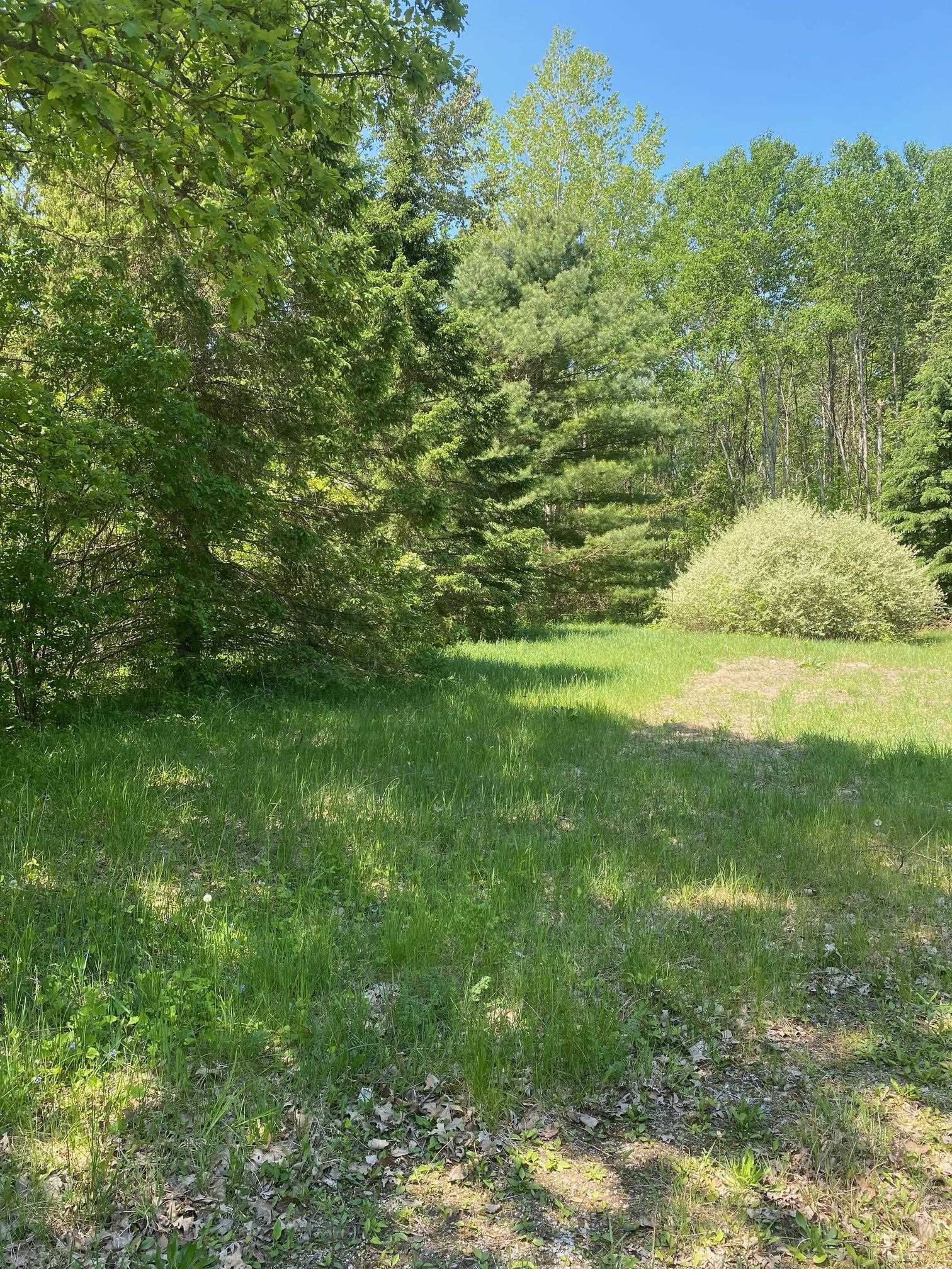 3302 Dana Road Coleman, MI 48618 - Photo 48 of 50