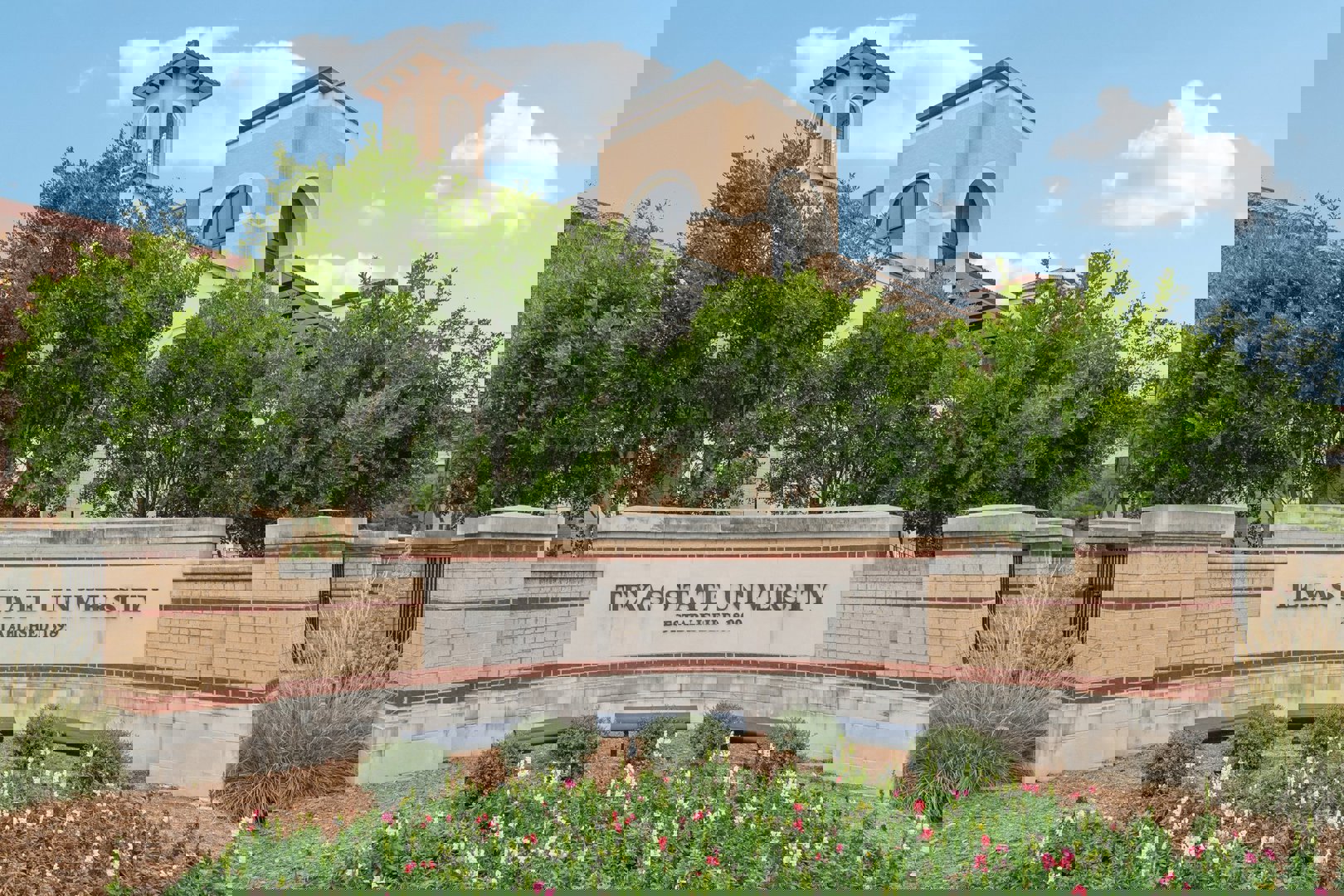 141 Cutleaf San Marcos, TX 78666 - Photo 7 of 7