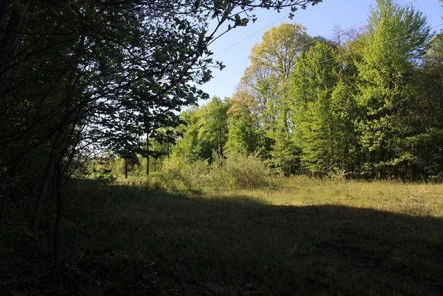 $70,000 | 4273 104th Avenue, Allegan, MI 49010