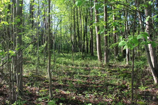 $70,000 | 4273 104th Avenue, Allegan, MI 49010