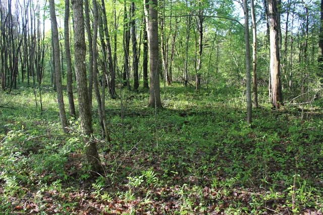 $70,000 | 4273 104th Avenue, Allegan, MI 49010