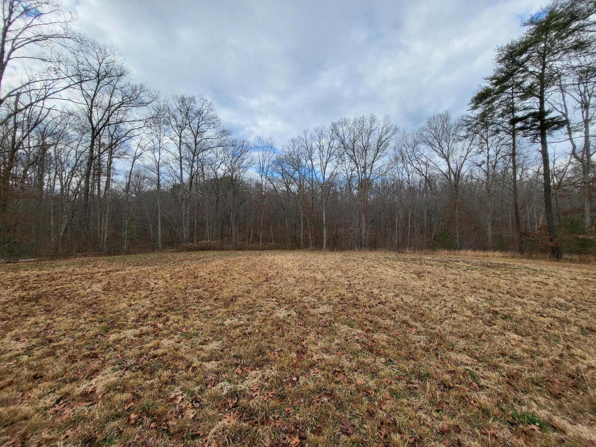 100.89-ac Laurel Brk Road Dunlap, TN 37327 - Photo 4 of 12 20221202_113656