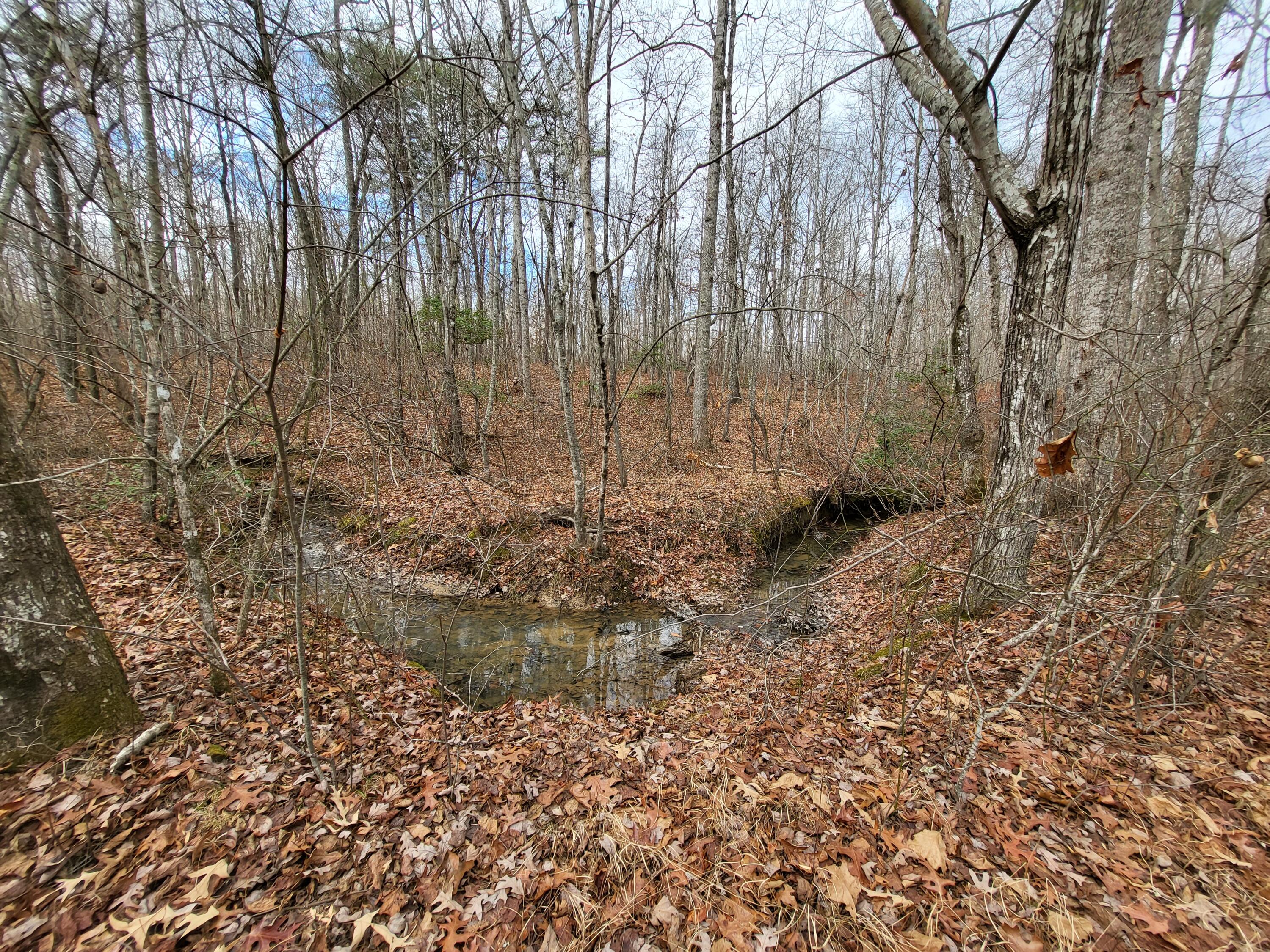 100.89-ac Laurel Brk Road Dunlap, TN 37327 - Photo 7 of 12 20221202_113954