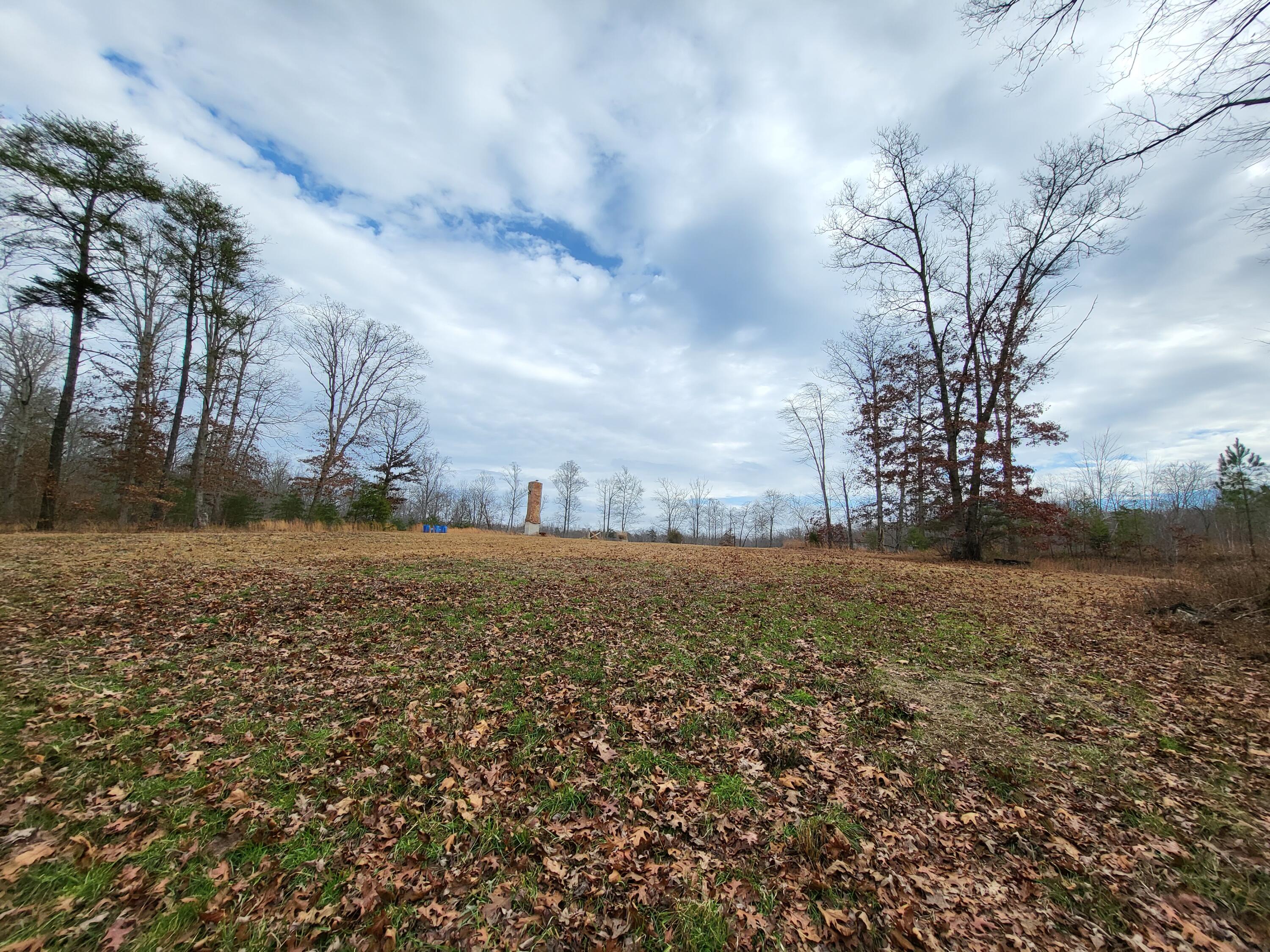 100.89-ac Laurel Brk Road Dunlap, TN 37327 - Photo 8 of 12 20221202_114134