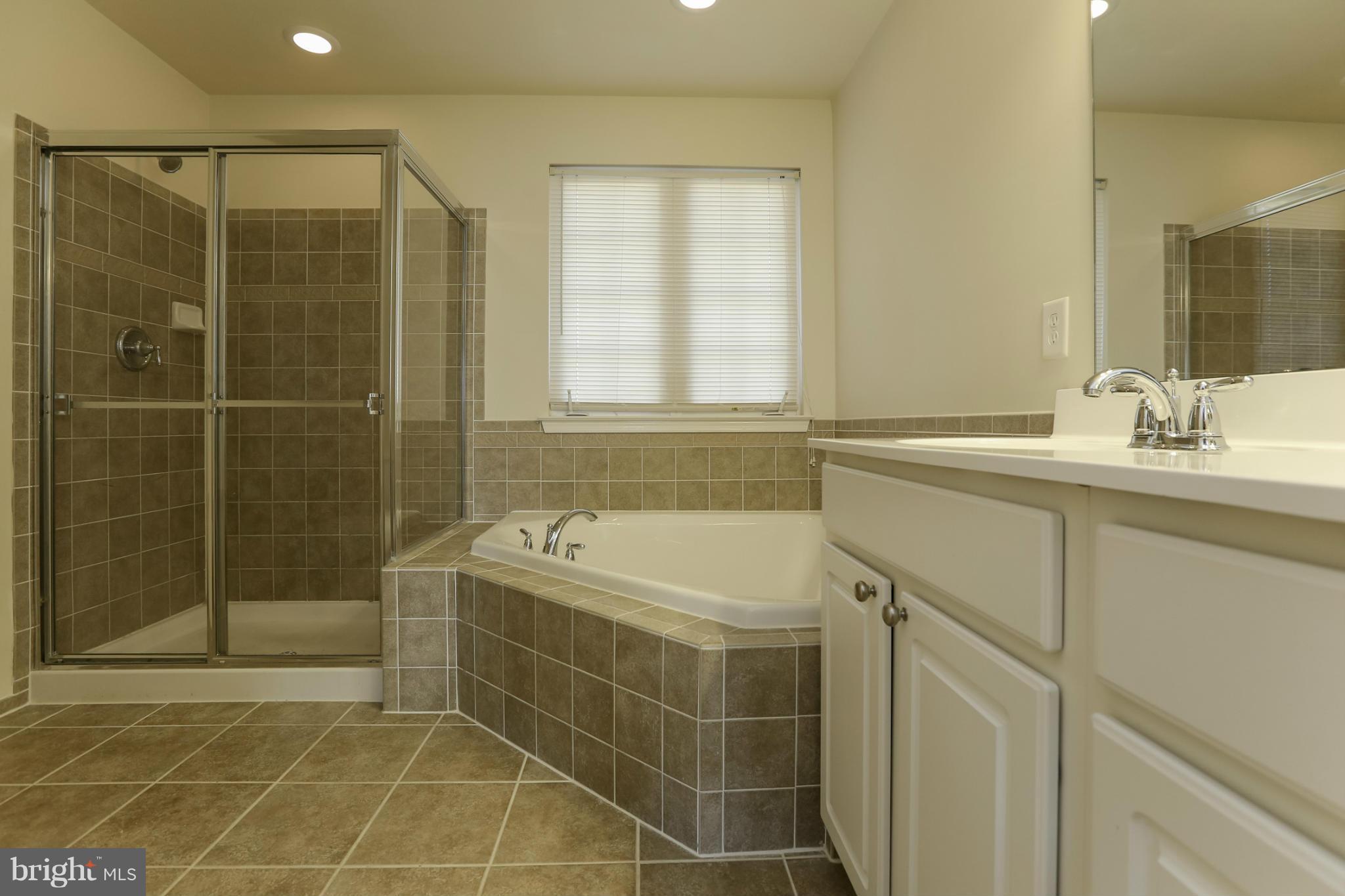 3001 Spindly Drive Manchester, MD 21102 - Photo 20 of 28 Bath (Master)